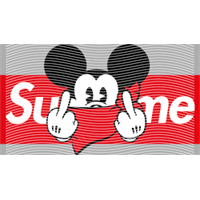 Brand Catalog-ZX 899